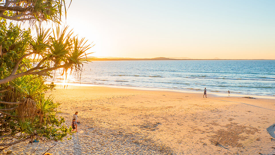 People walking down wooden stairs to a sandy Sunshine Coast beach at sunset with pandanus trees overhead.