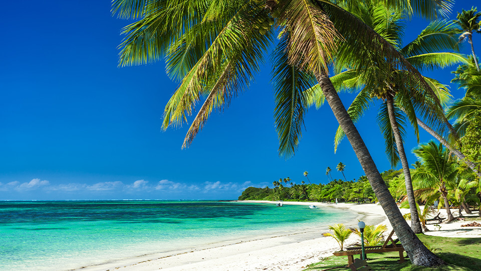 Tropical palm-lined beach with white sand and turquoise waters in Fiji.