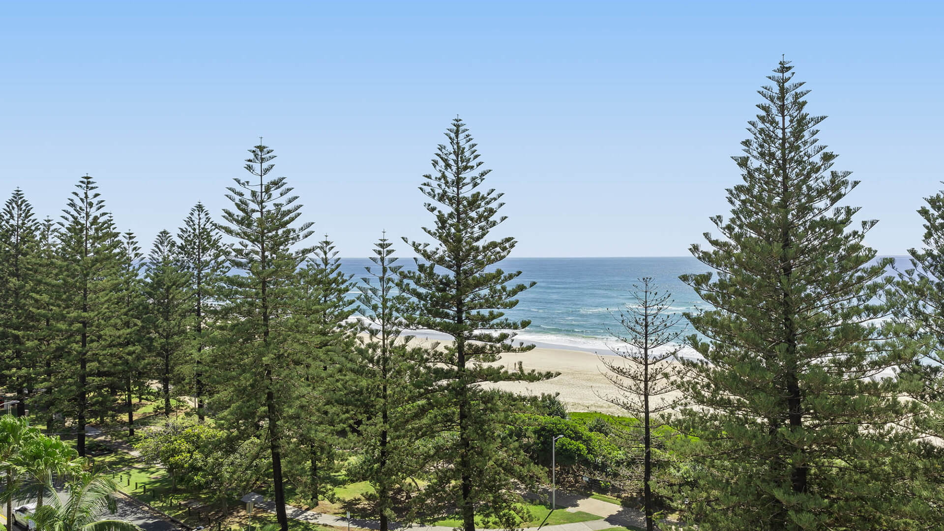 Ocean views framed by Norfolk pines from the balcony of the 2 Bedroom Superior Ocean View Apartment at ULTIQA Burleigh Mediterranean Resort.